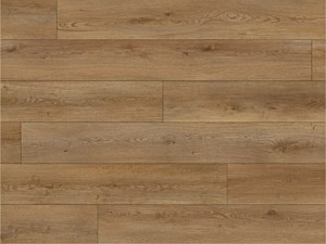 Paradigm Conquest Acropolis 9 x 72